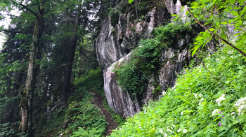 die Felsgrate am Wanderweg zum Stolzenberg