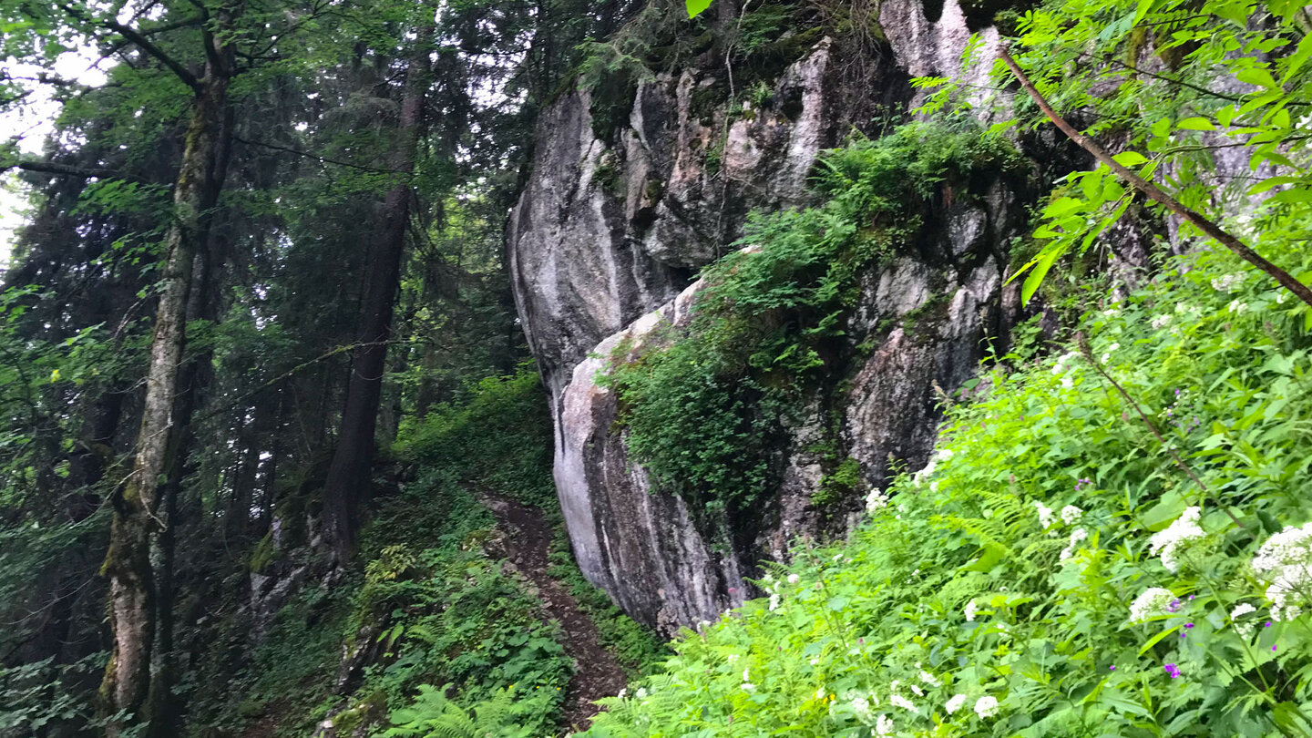 die Felsgrate am Wanderweg zum Stolzenberg