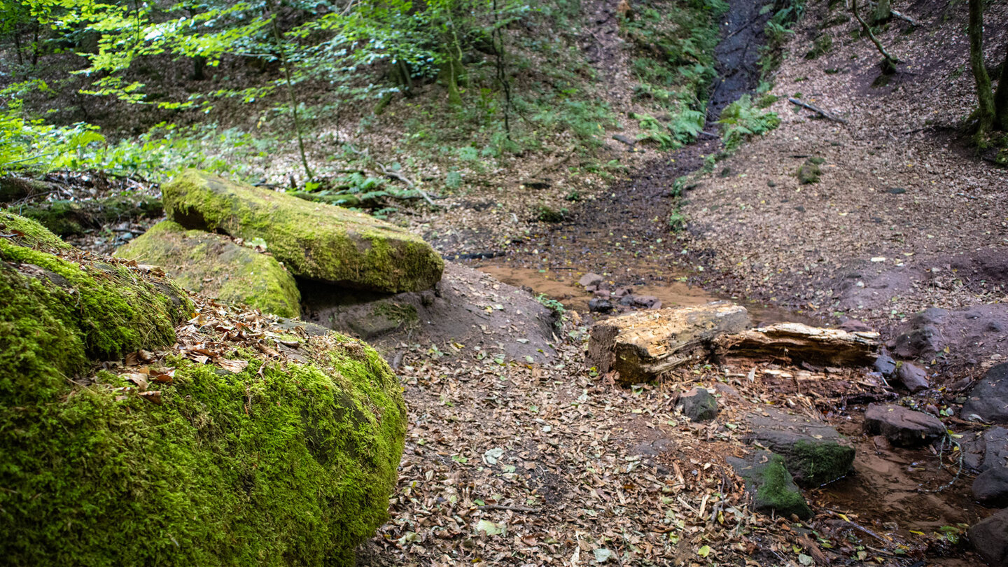 Am Wasserfall: Bemooste Steine am Waldbach bei Erfweiler