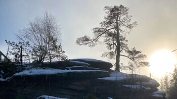 Burgsteinfelsen im Fichtelgebirge