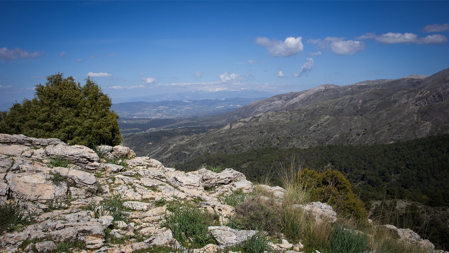 Ausblick zur Sierra Nevada vom Wanderweg zum Maroma