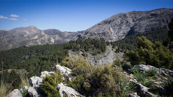 Das Bergpanorama der Sierra de Tejeda vom Sendero SL-A 124