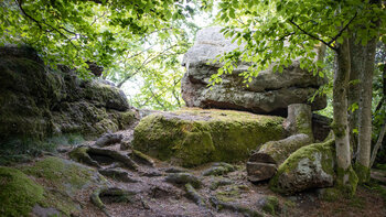 Buntsandsteinstufen und Wurzelpfade am Kammweg auf dem Gipfelplateau des Drachenfels.
