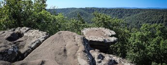 Vom Drachenfels Südfels öffnet sich Blick über den Pfälzerwald