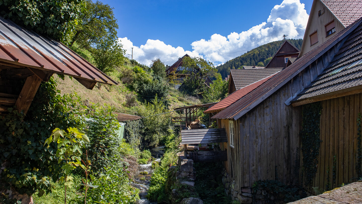 Wanderweg über den Reichenbach in Reichental