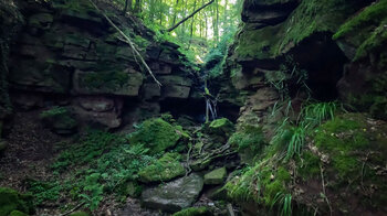 Margarethenschlucht im Naturpark Neckartal-Odenwald