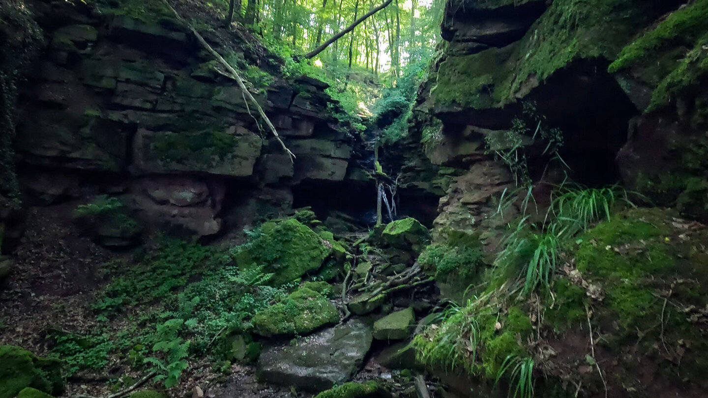 die Margarethenschlucht im Naturpark Neckartal-Odenwald Margarethenschlucht im Naturpark Neckartal-Odenwald