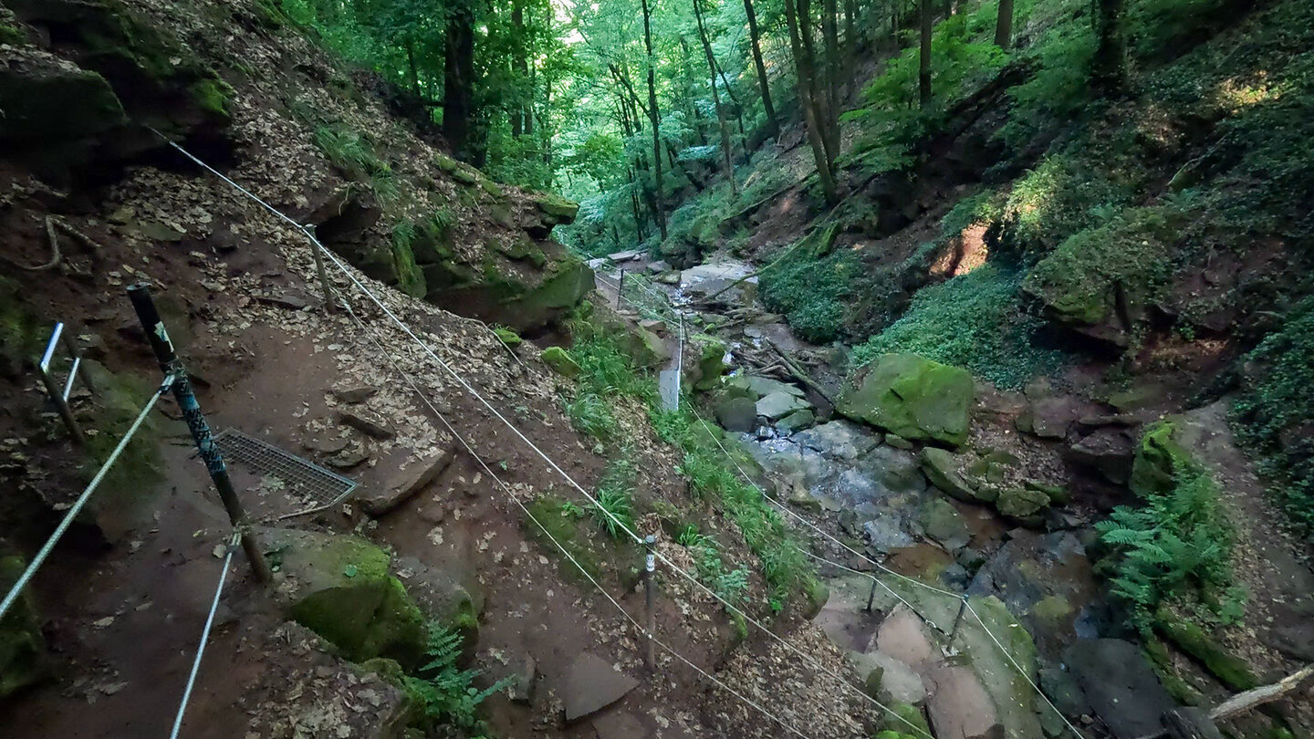 Wanderweg durch die Margarethenschlucht bei Neckargerach Naturpark Neckartal-Odenwald Wanderweg durch die Margarethenschlucht bei Neckargerach