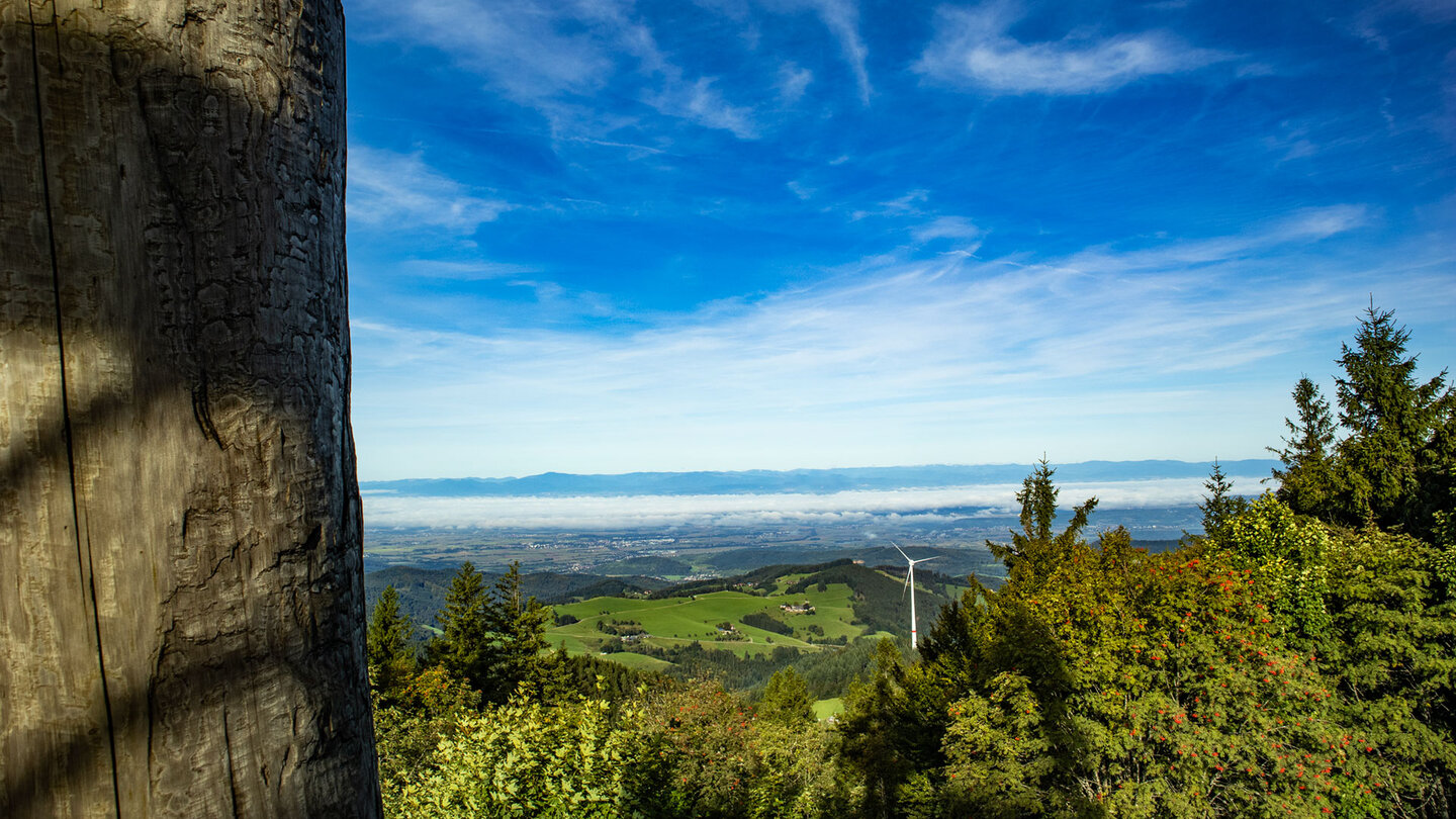 Panorama in die Rheinebene vom Aussichtsturm auf dem Schauinsland Panorama in die Rheinebene vom Schauinsland
