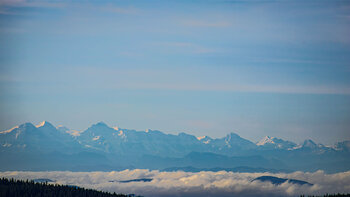 Blick zu den Schweizer Alpen vom Schauinsland im Schwarzwald