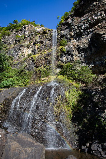 ungezähmt stürzt das Wasser bis in das Becken des Mare Aux Joncs Wasserfalls