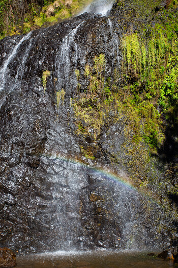 fein zerstäubendes Wasser bildet einen Regenbogen im Sonnenlicht am Wasserfall