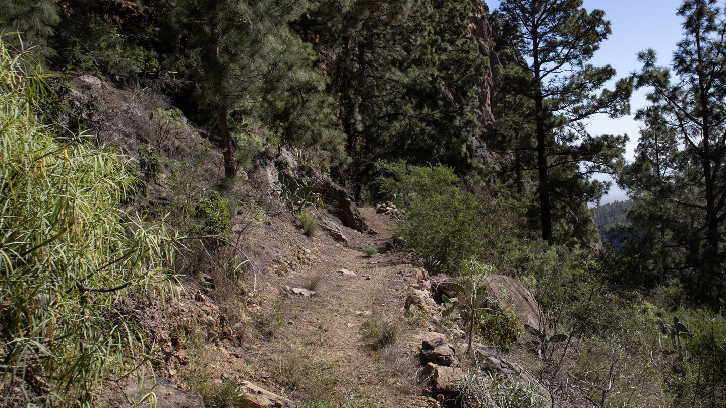 Wanderweg durch die Schlucht Risco del Muerto