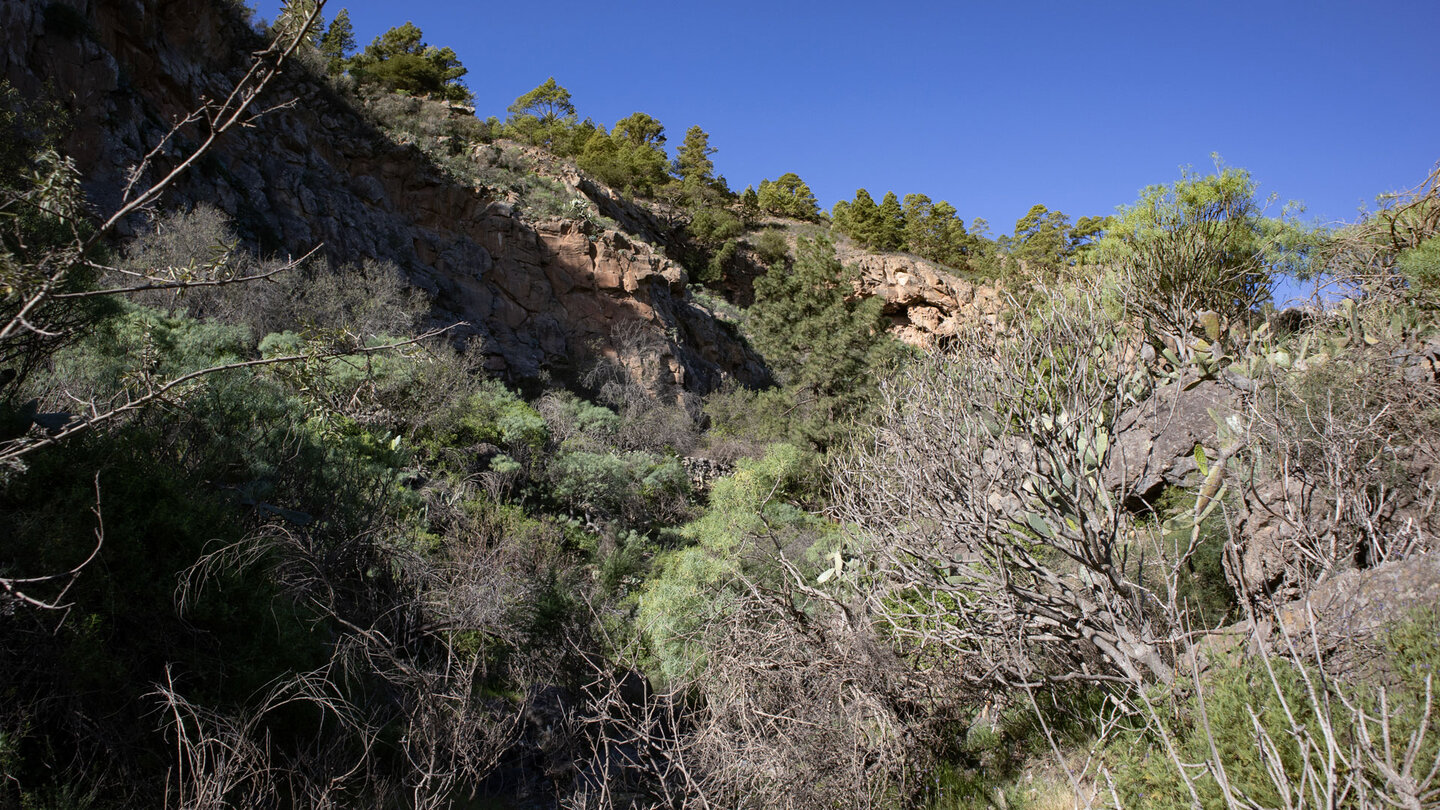 in der Schlucht und Barranco de Géñiga