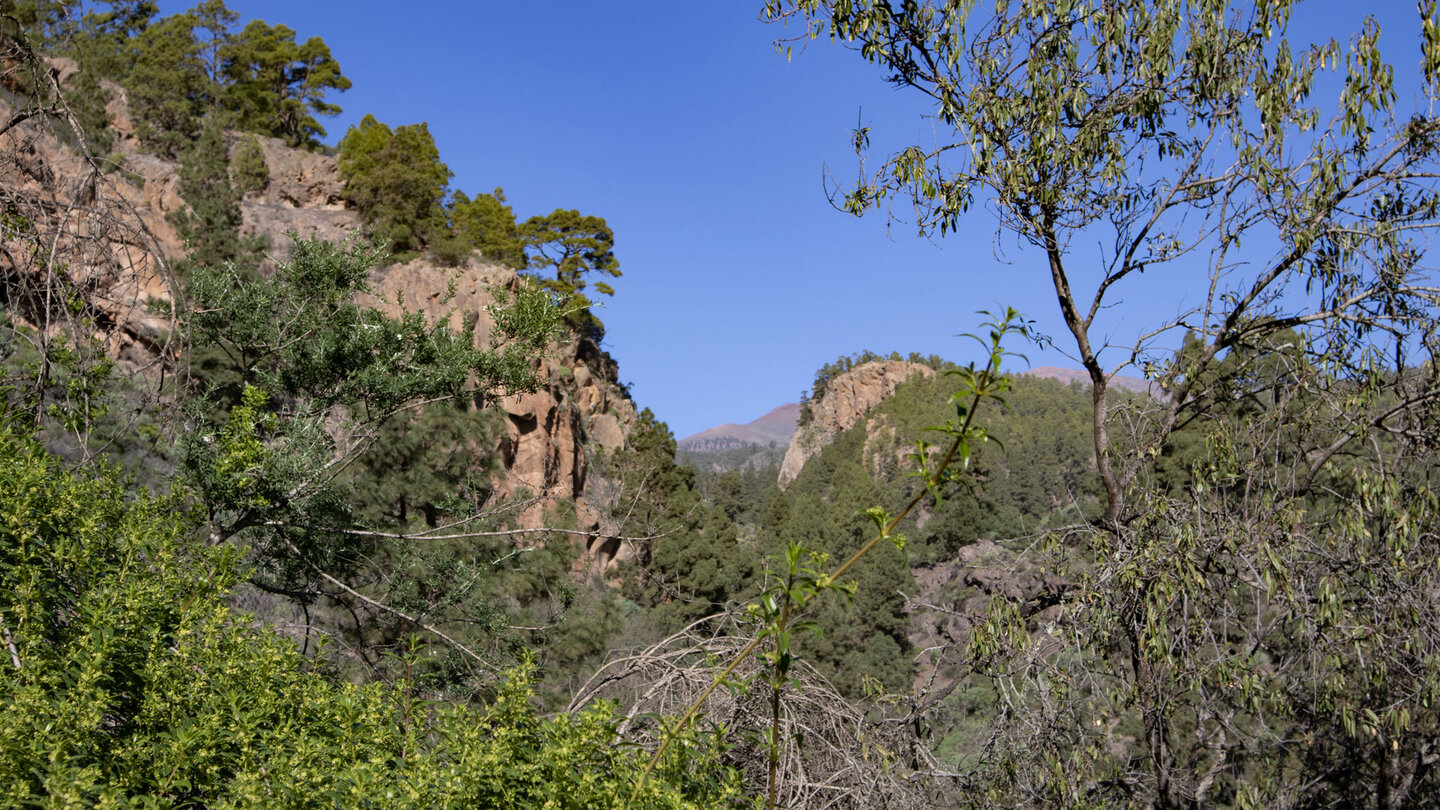 Blick über die Schlucht und Barranco de Géñiga