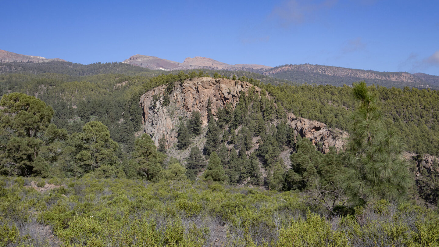 die Corona Forestal mit den Gipfeln der Cañadas Kraterwand