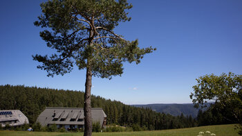 Blick über die Hochebene am Hotel Schöne Aussicht