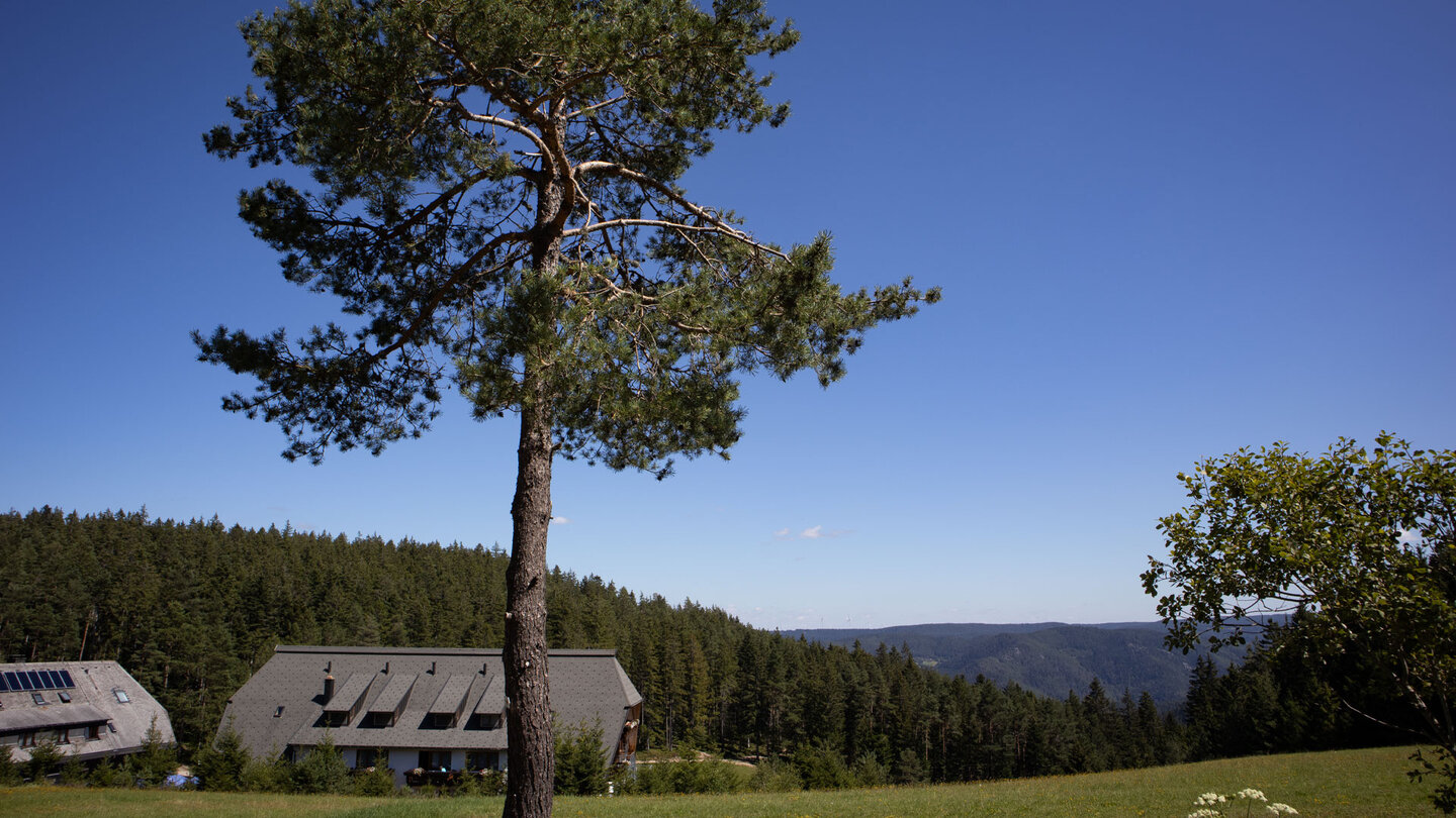 Blick über die Hochebene am Hotel Schöne Aussicht
