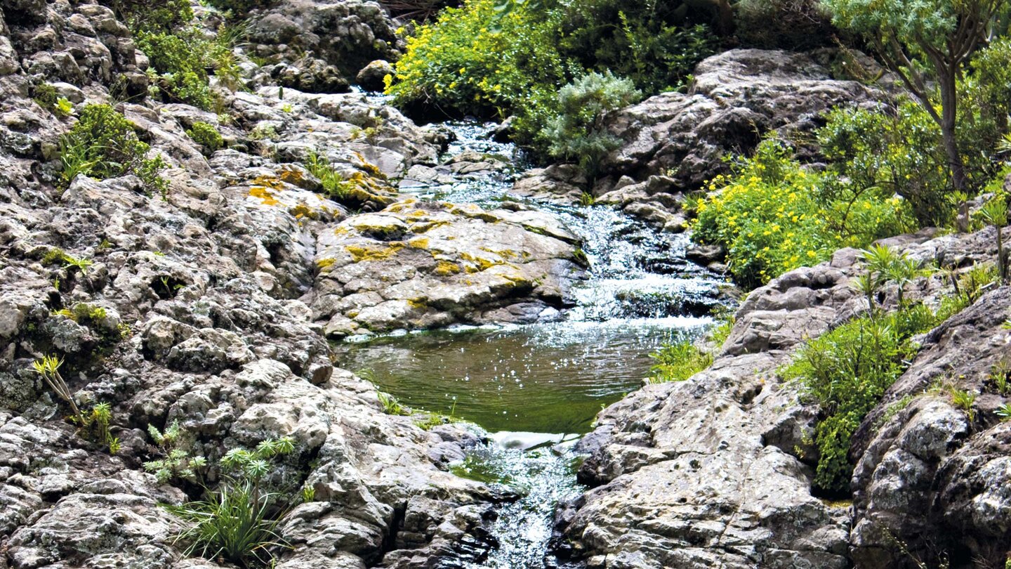Wasserbassins in der Schlucht von Chamorga im Anaga-Gebirge
