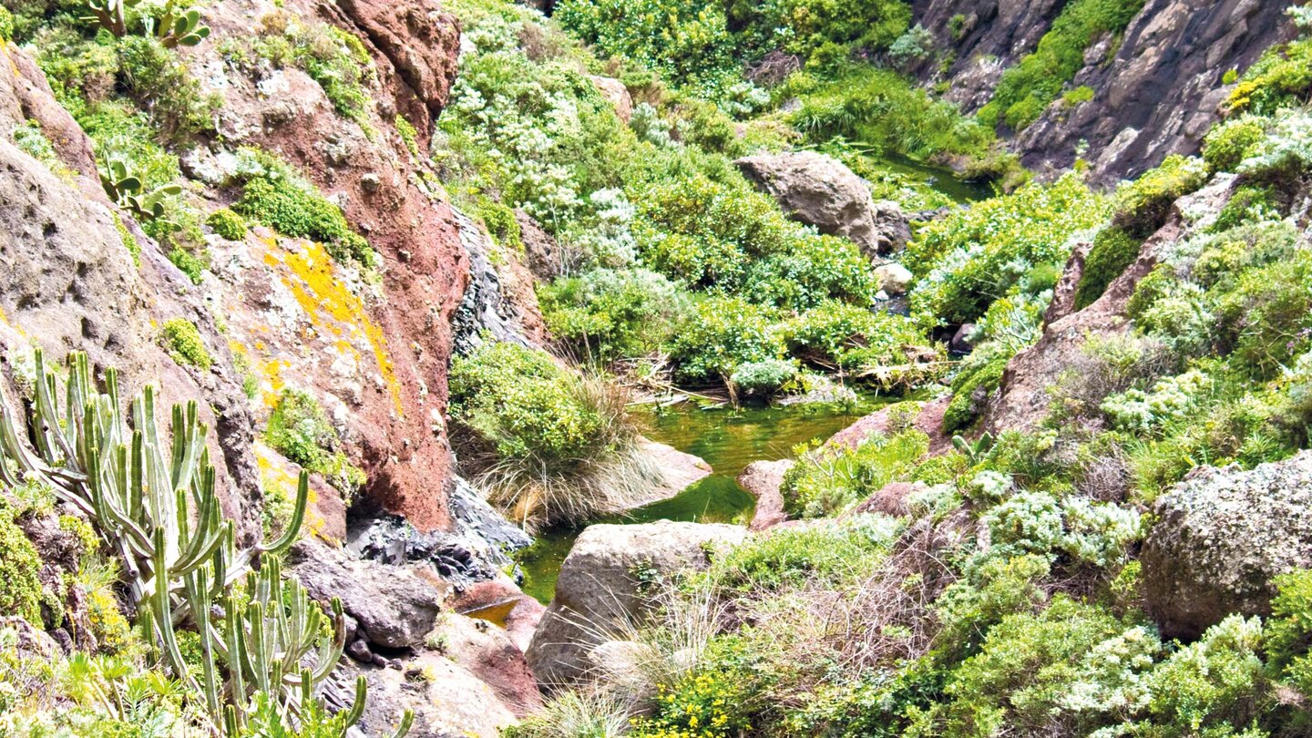 Wasserlauf im Barranco Chamorga