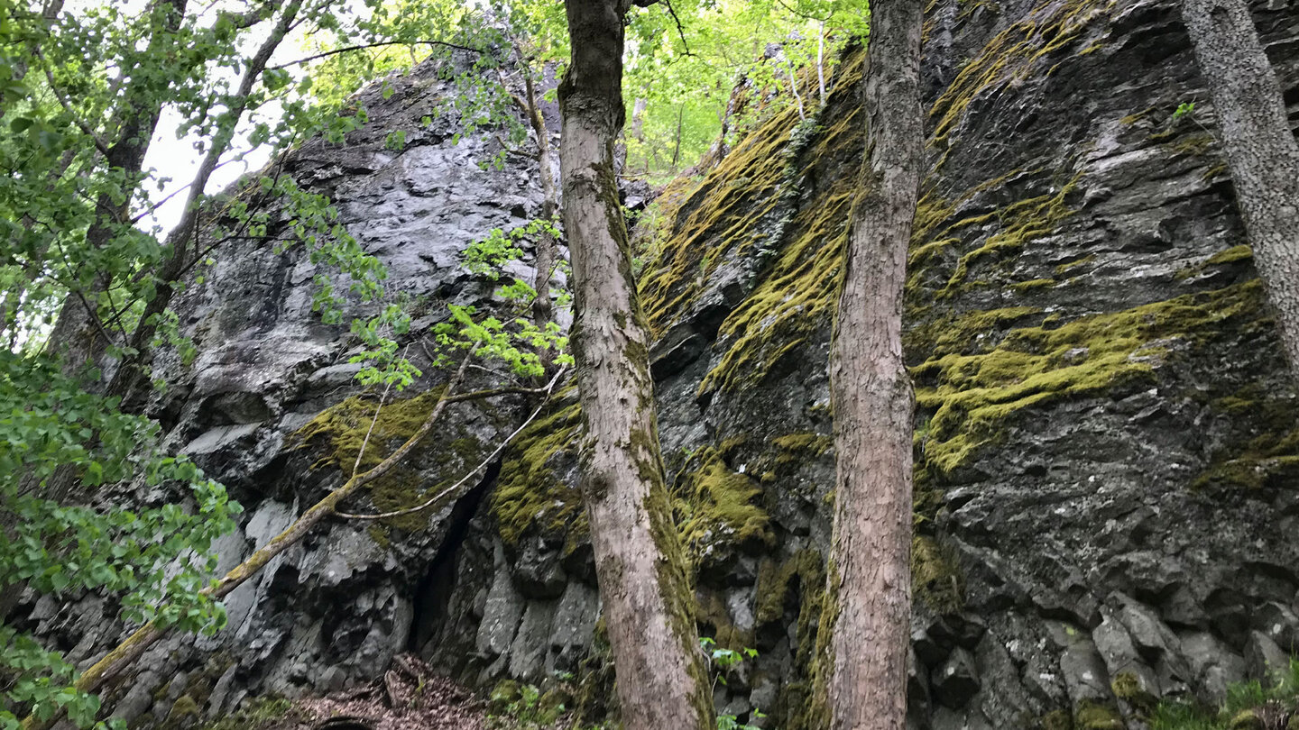 die Felswände im Teufelskeller im Biosphärenreservat Rhön Felswände im Teufelskeller