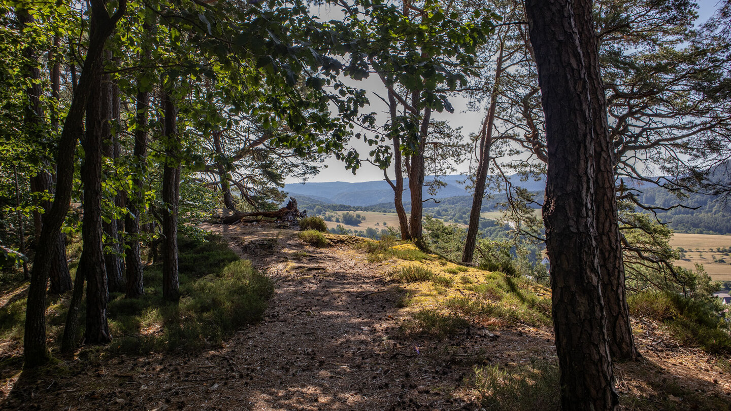 Wanderpfad zur oberen Aussichtsplattform auf der Eichelbergplatte.
