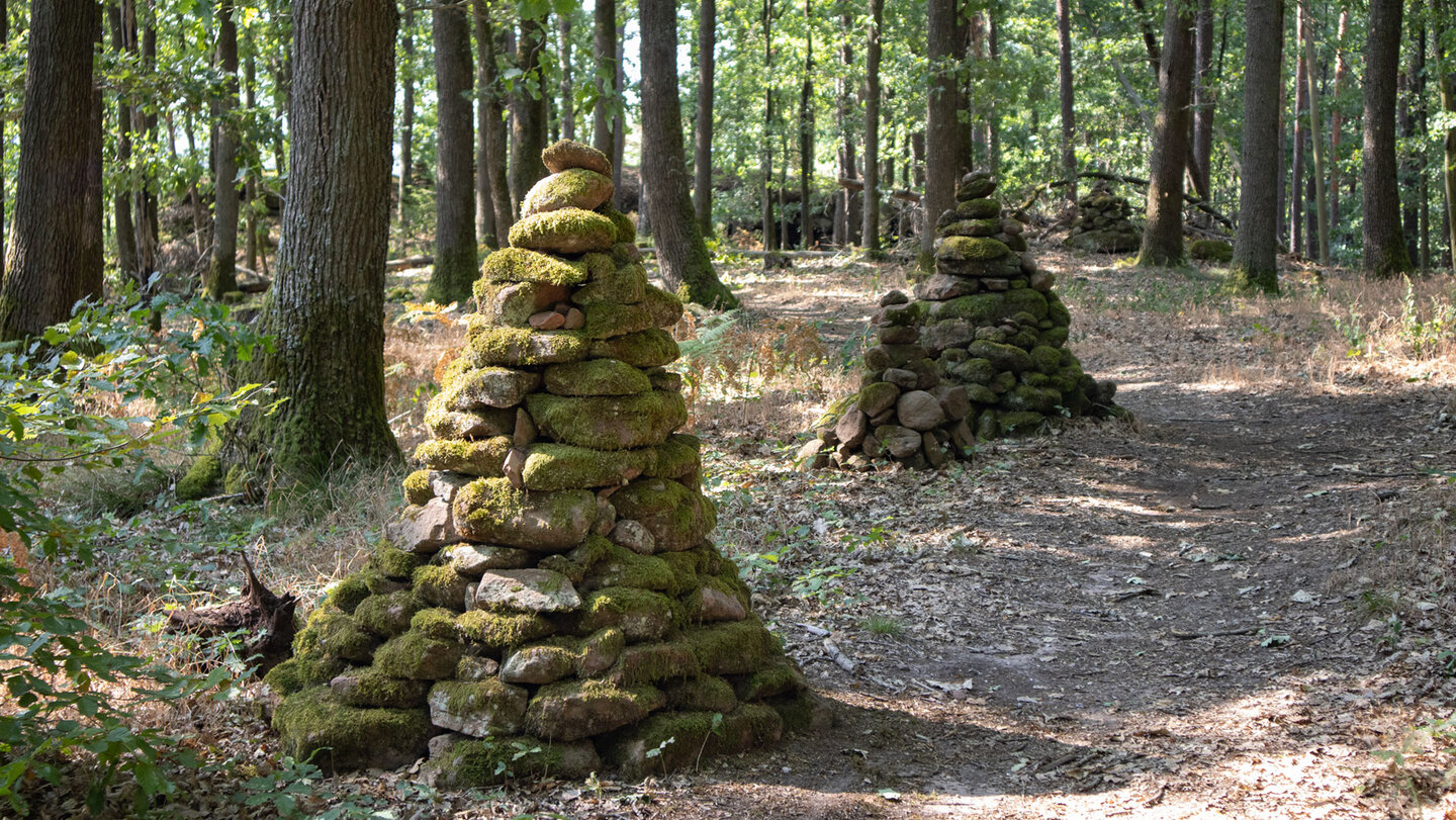 Steintürmchen am Wanderweg über den Dickenberg.
