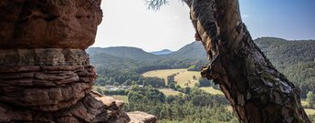 Vom Sprinzel auf dem Dickenberg öffnet sich ein weiter Blick über das Dahner Felsenland.