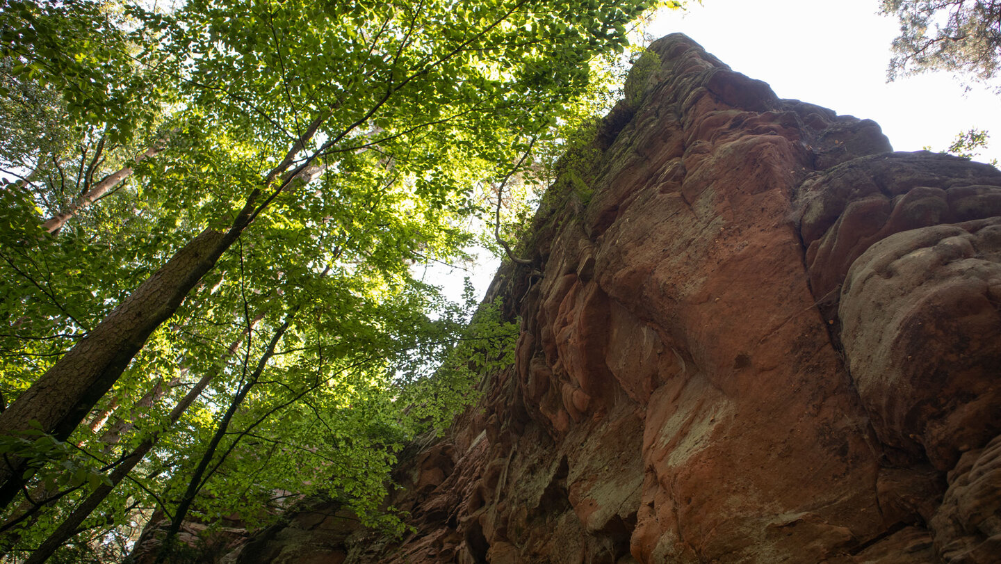 Der Eilöchelfels bei Busenberg zählt zu den versteckten Felsformationen im Dahner Felsenland und ist nur über unmarkierte Pfade zu erreichen.