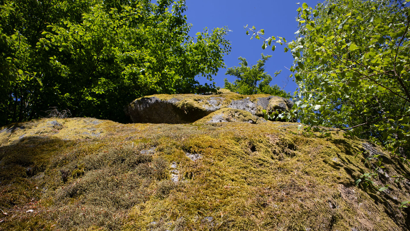 bemooste Felsen am Katzenschrofen