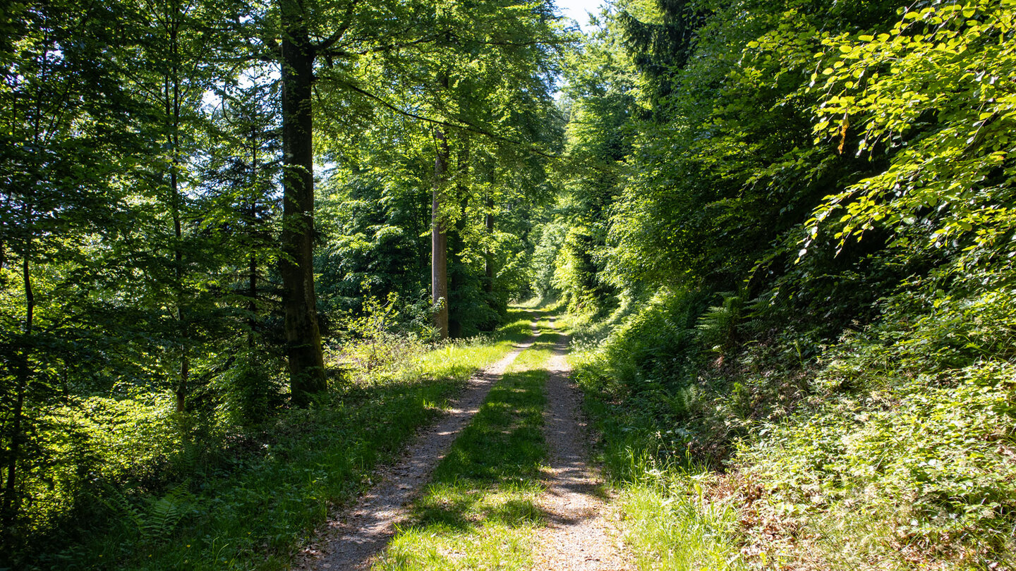 Wanderung auf dem Felsenweg Ottenhöfen