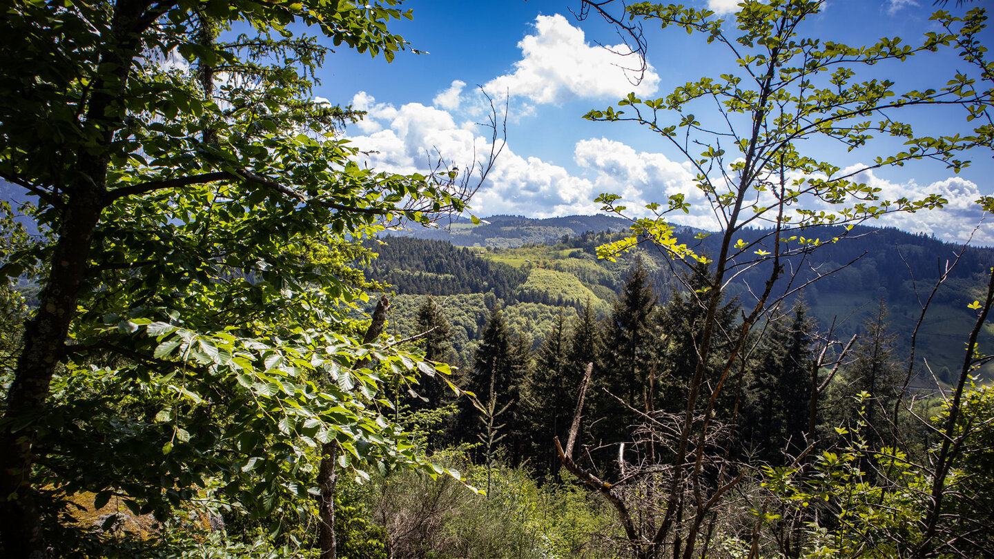 Ausblick auf Berge und Täler des Nordschwarzwalds