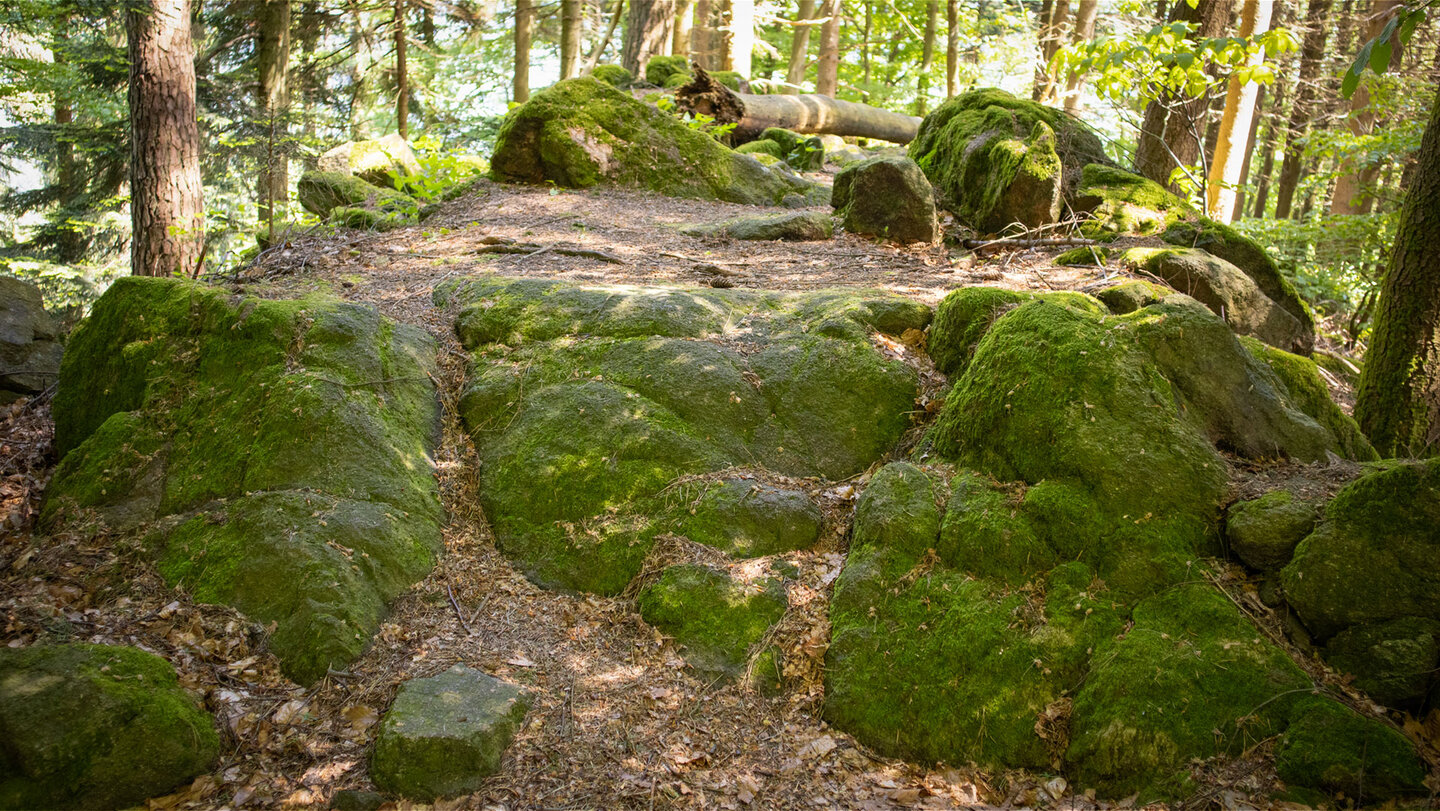 Felsenweg Ottenhöfen zwischen Breitfelsen und Spitzfelsen