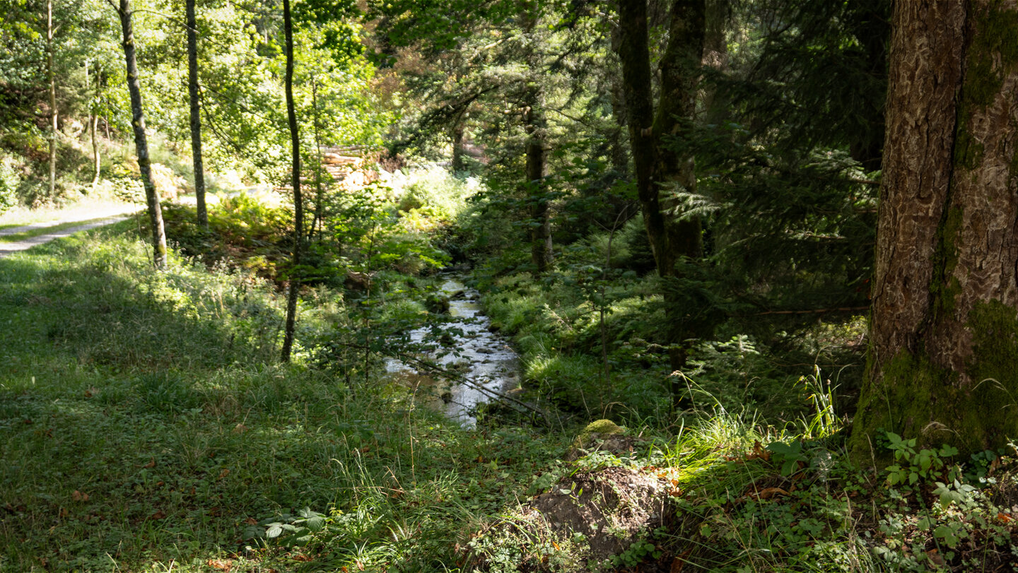 Wanderung entlang des Brotenaubachs