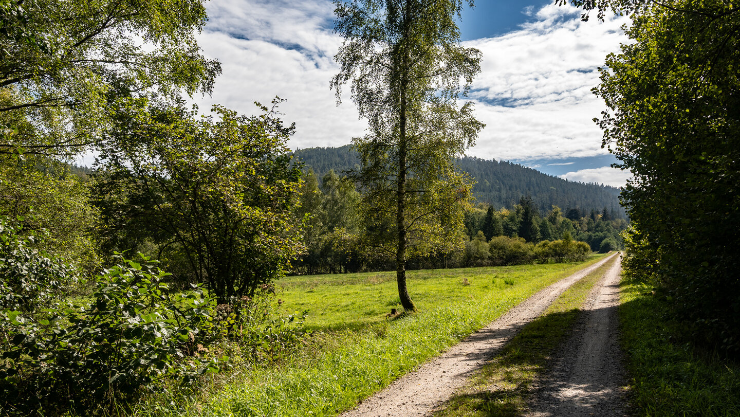 Wanderroute an der Großen Wiese