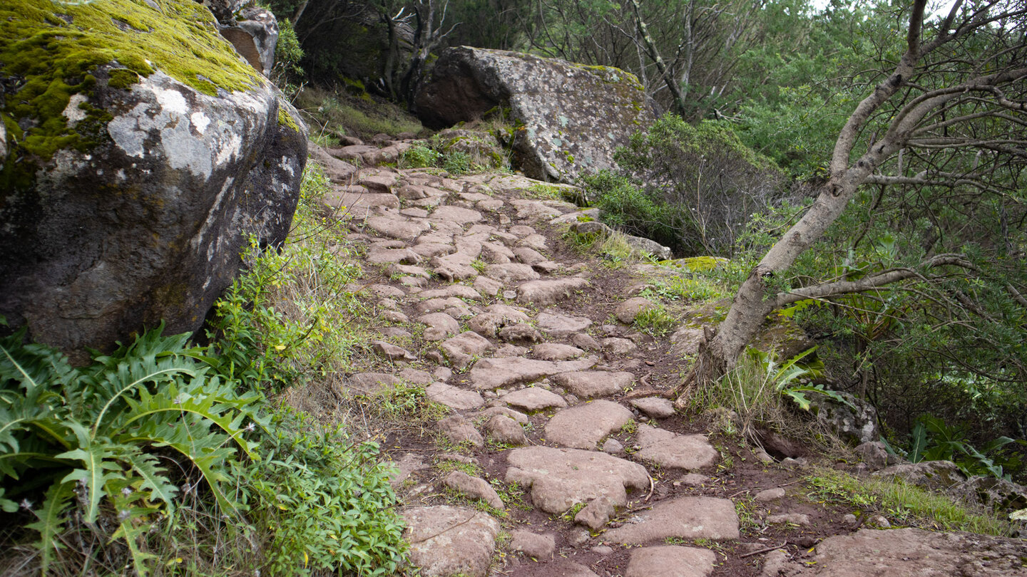 gepflasterter Wanderweg PR-TF 51