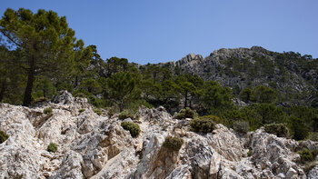 Felslandschaft am Puerto Blanquillo