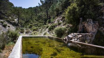 Fuente Borriquero am Wanderweg zur Fabrica de Luz bei Canillas de Albaida