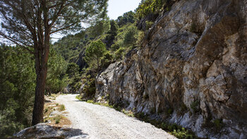 Wanderweg zur Fabrica de Luz bei Canillas de Albaida