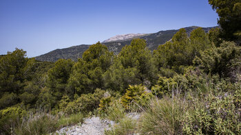 Aussicht auf dem höchsten Berg Málagas vom Wanderweg zur Fabrica de Luz bei Canillas de Albaida