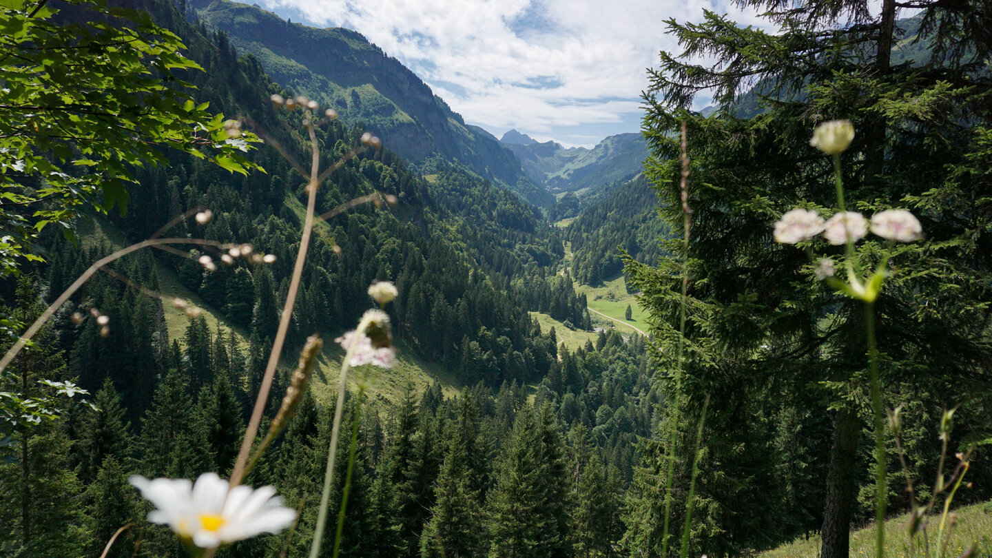 großartiger Talblick mit Wiesenblumen im Vordergrund Talblick mit Wiesenblumen