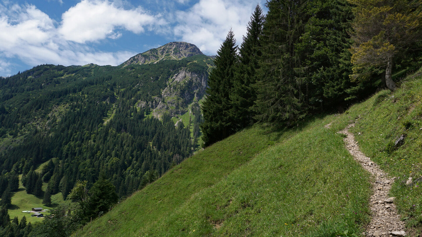 Anstieg zum Einödsberg auf schmalem Pfad in Richtung Wald Anstieg zum Einödsberg auf schmalem Pfad