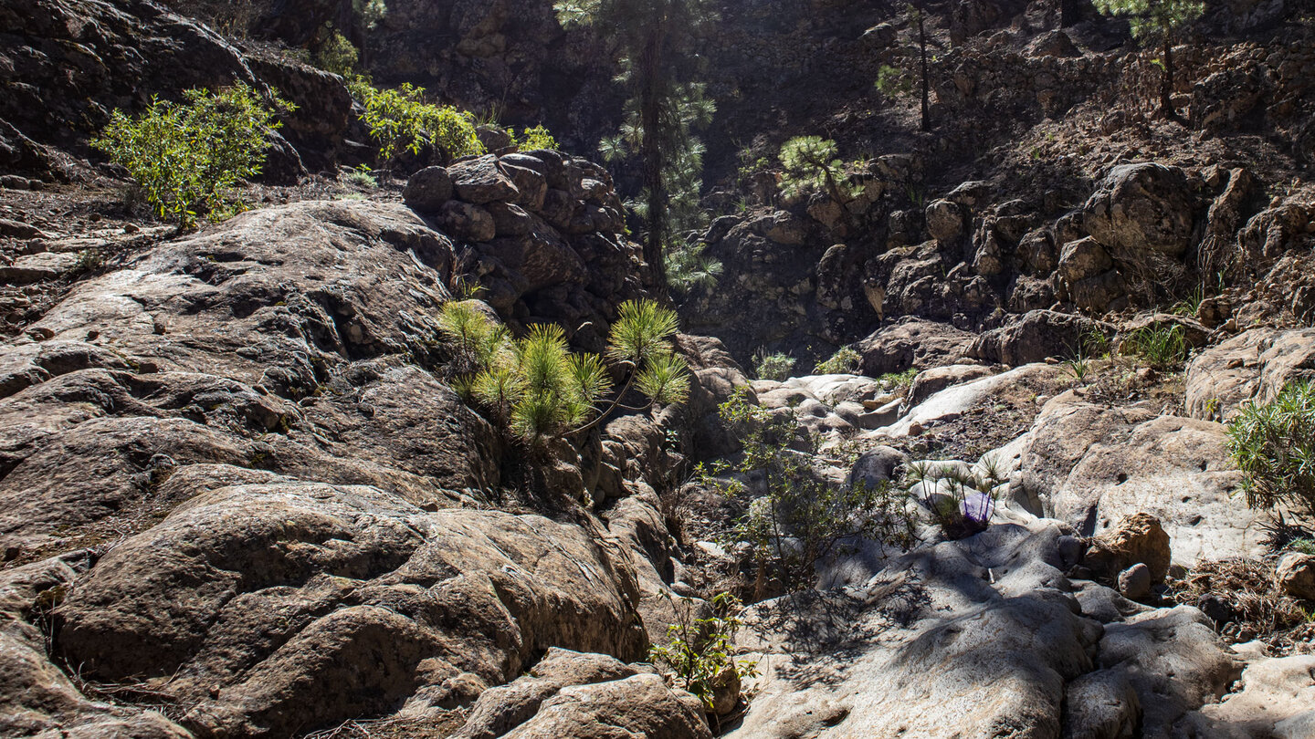 Wanderung durchs Trockenbachbett der Yedras-Schlucht