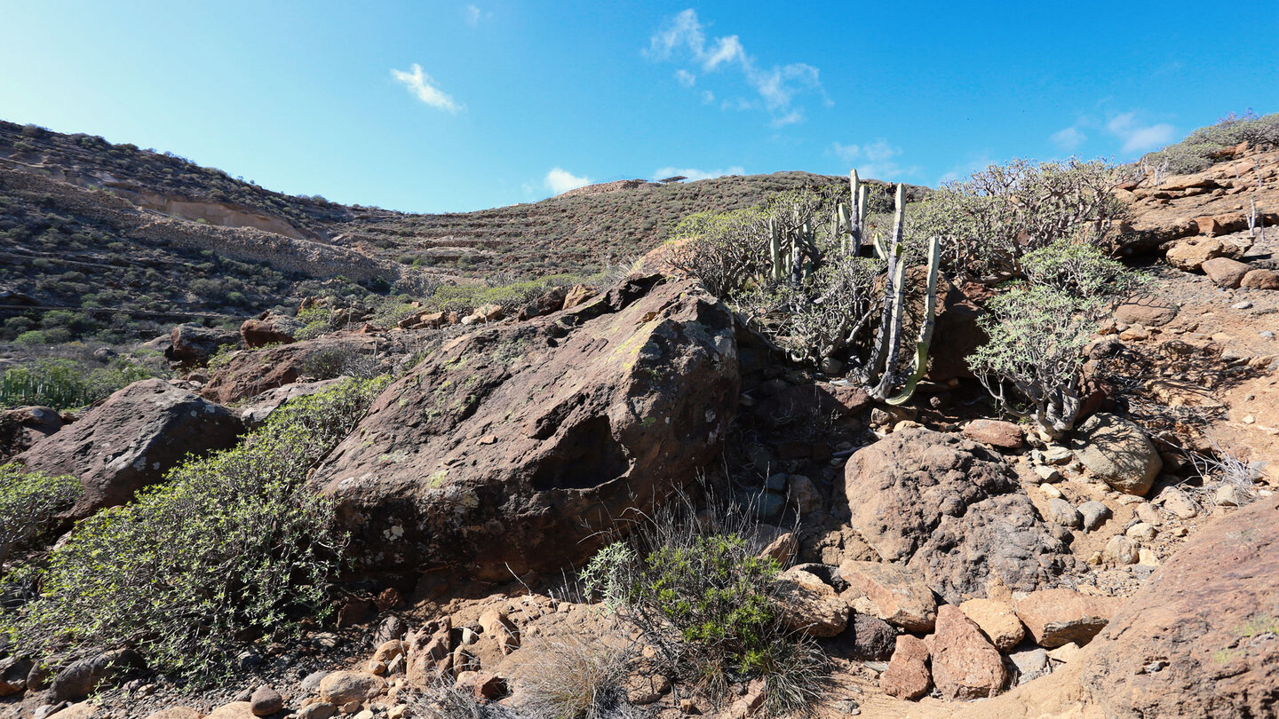 Durchwanderung des Barranco de Tajo Durchwanderung des Barranco de Tajo