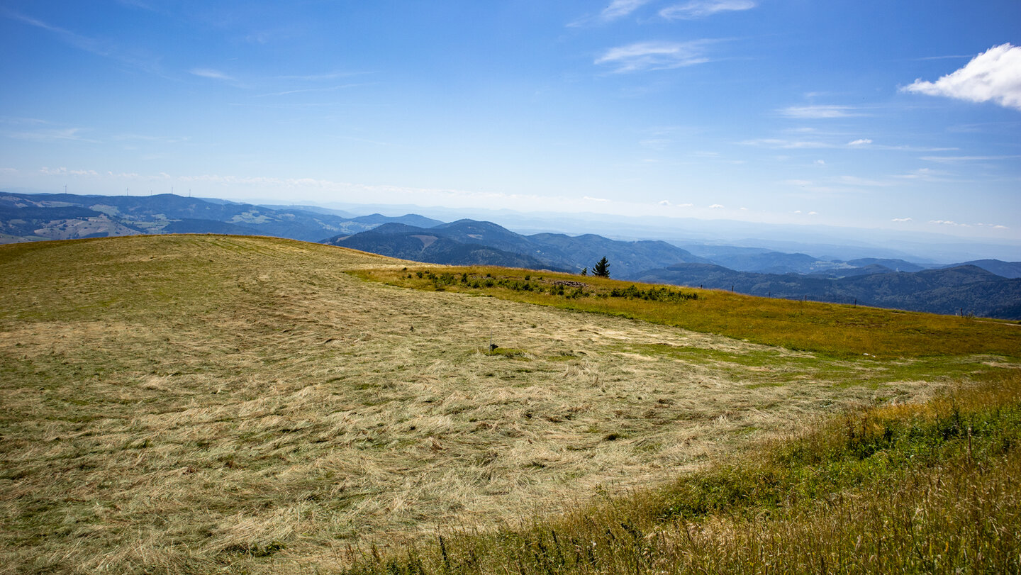 Wiesen auf dem Belchen