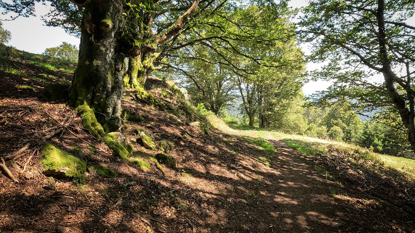 Wanderung zum Belchenhaus