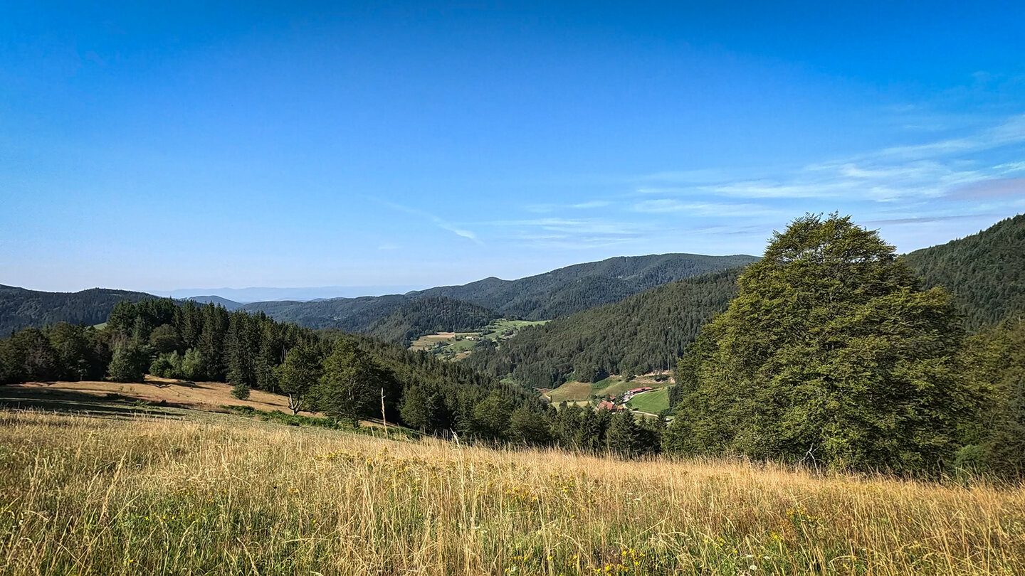 Wiesenlandschaft am Böllener Eck