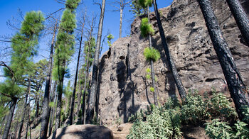 steil aufragende Felswände entlang des Wanderwegs im Naturpark Tamadaba