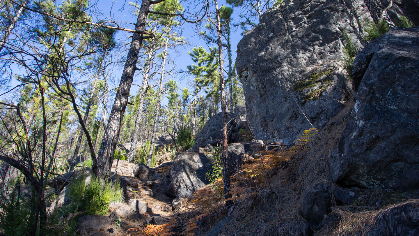 felsiger Wanderpfad bei Llanos de la Mimbre