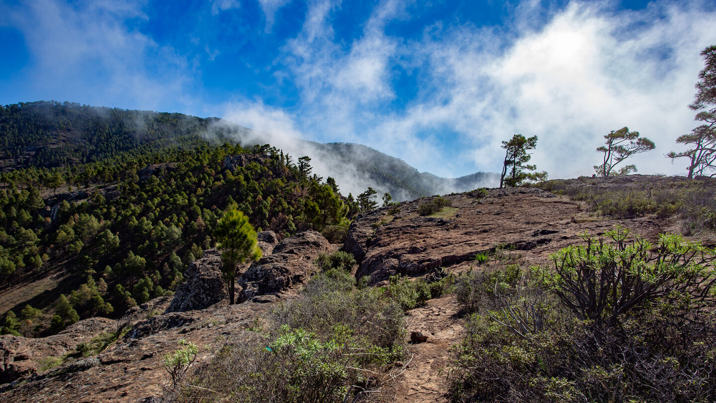 Wanderpfad an der Degollada Risco de Faneque